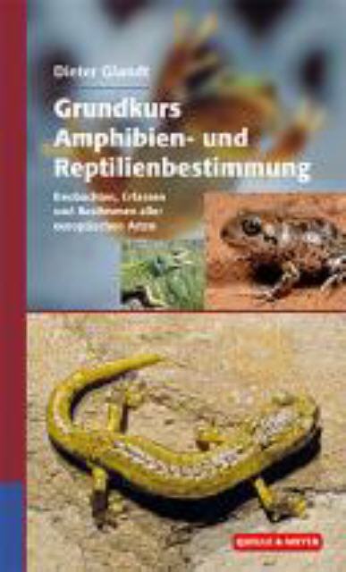 Grundkurs Amphibien- und Reptilienbestimmung