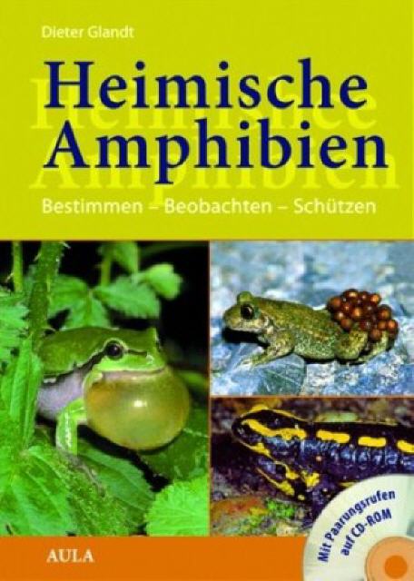 Heimische Amphibien: Bestimmen Beobachten Schützen